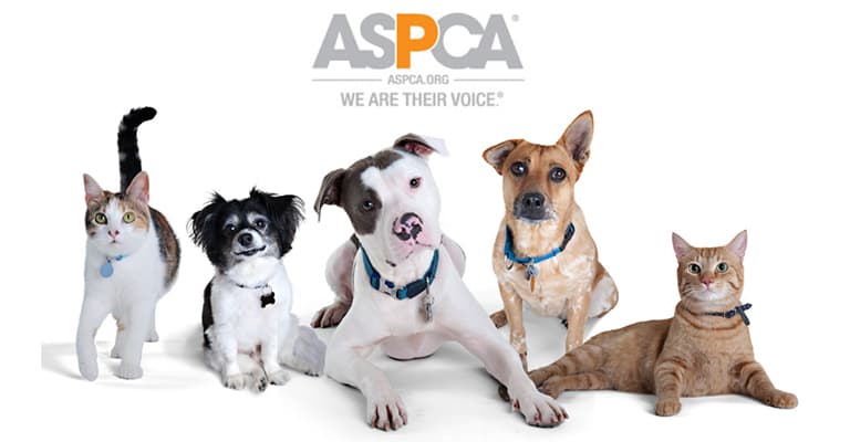 nearest for your scooter & power chair